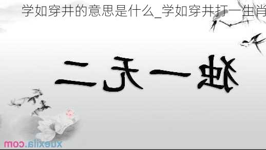 学如穿井的意思是什么_学如穿井打一生肖