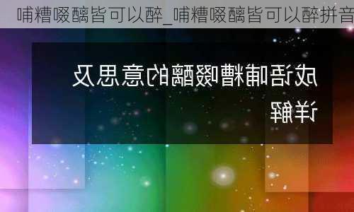 哺糟啜醨皆可以醉_哺糟啜醨皆可以醉拼音