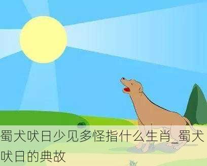 蜀犬吠日少见多怪指什么生肖_蜀犬吠日的典故