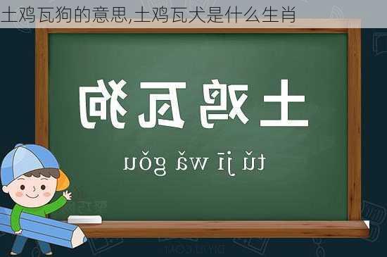 土鸡瓦狗的意思,土鸡瓦犬是什么生肖