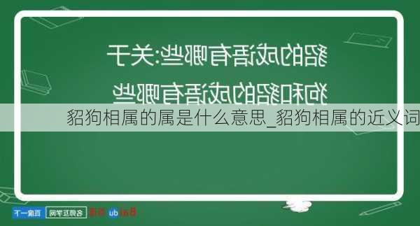 貂狗相属的属是什么意思_貂狗相属的近义词