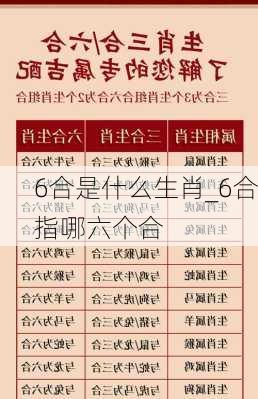 6合是什么生肖_6合指哪六个合