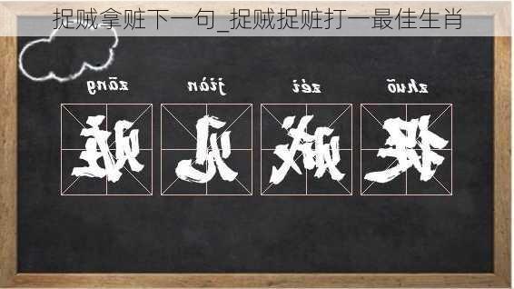 捉贼拿赃下一句_捉贼捉赃打一最佳生肖