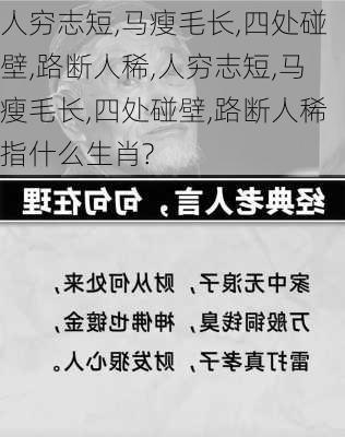 人穷志短,马瘦毛长,四处碰壁,路断人稀,人穷志短,马瘦毛长,四处碰壁,路断人稀指什么生肖?