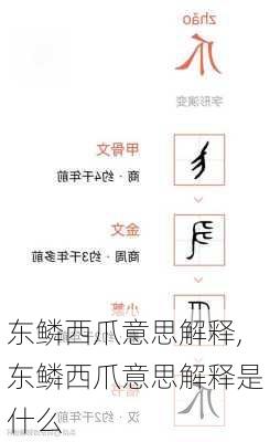 东鳞西爪意思解释,东鳞西爪意思解释是什么