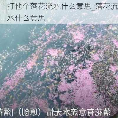 打他个落花流水什么意思_落花流水什么意思