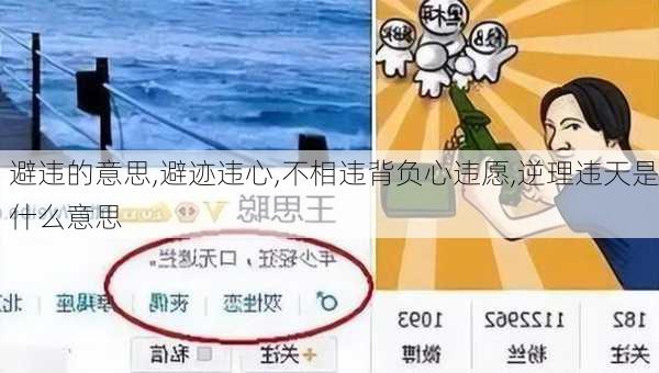 避违的意思,避迹违心,不相违背负心违愿,逆理违天是什么意思