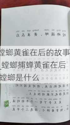 螳螂黄雀在后的故事_螳螂捕蝉黄雀在后 螳螂是什么