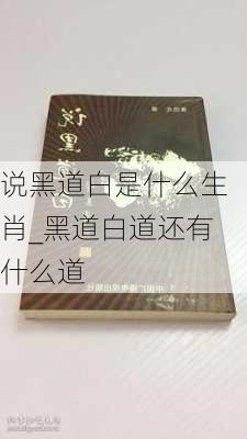 说黑道白是什么生肖_黑道白道还有什么道