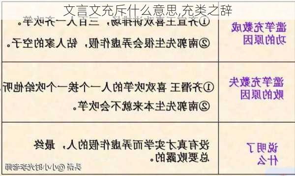 文言文充斥什么意思,充类之辞