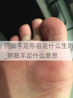 胼胝手足形容是什么生肖_胼胝手足什么意思