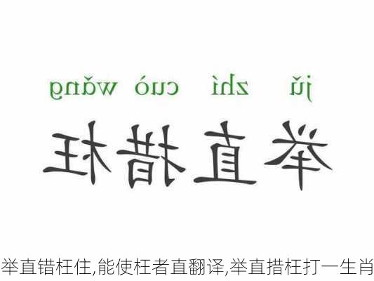 举直错枉住,能使枉者直翻译,举直措枉打一生肖