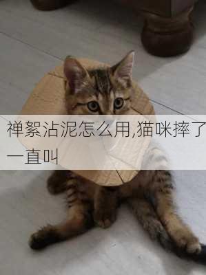 禅絮沾泥怎么用,猫咪摔了一直叫