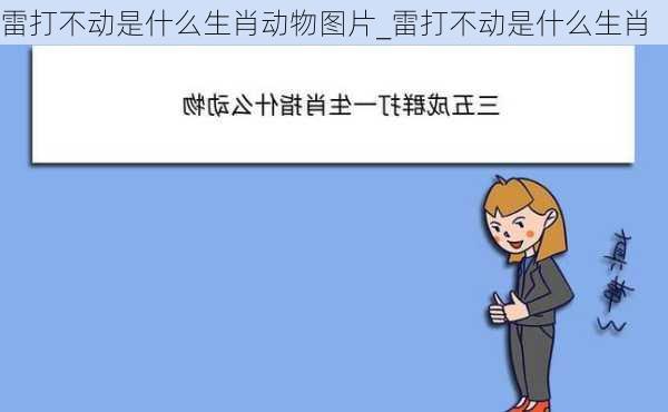 雷打不动是什么生肖动物图片_雷打不动是什么生肖