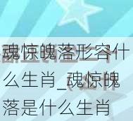 魂惊魄落形容什么生肖_魂惊魄落是什么生肖