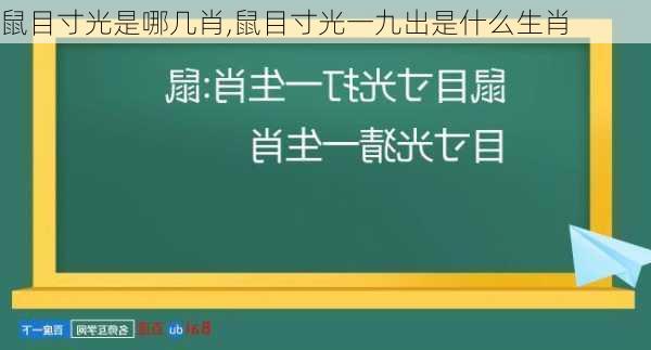 鼠目寸光是哪几肖,鼠目寸光一九出是什么生肖