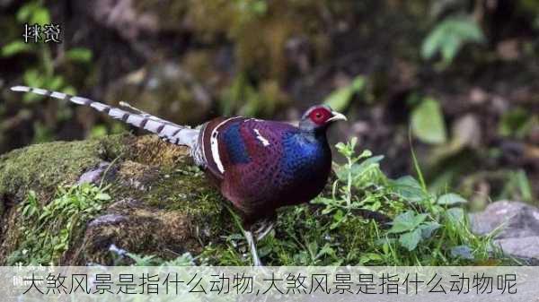 大煞风景是指什么动物,大煞风景是指什么动物呢