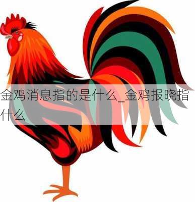 金鸡消息指的是什么_金鸡报晓指什么