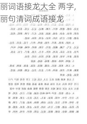 丽词语接龙大全 两字,丽句清词成语接龙