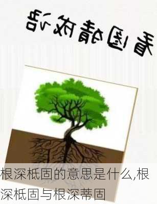 根深柢固的意思是什么,根深柢固与根深蒂固