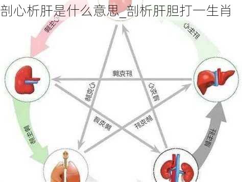 剖心析肝是什么意思_剖析肝胆打一生肖