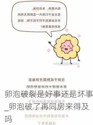 卵泡破裂是好事还是坏事_卵泡破了再同房来得及吗