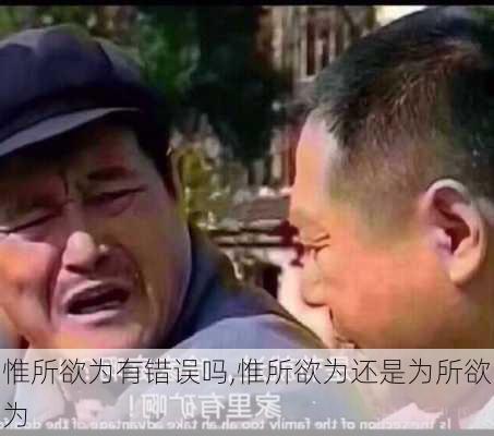 惟所欲为有错误吗,惟所欲为还是为所欲为