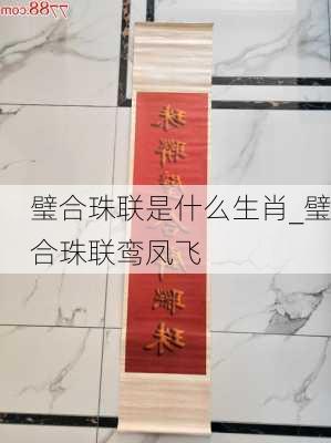 璧合珠联是什么生肖_璧合珠联鸾凤飞