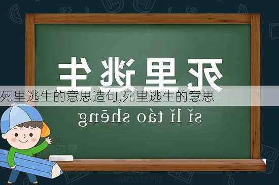 死里逃生的意思造句,死里逃生的意思