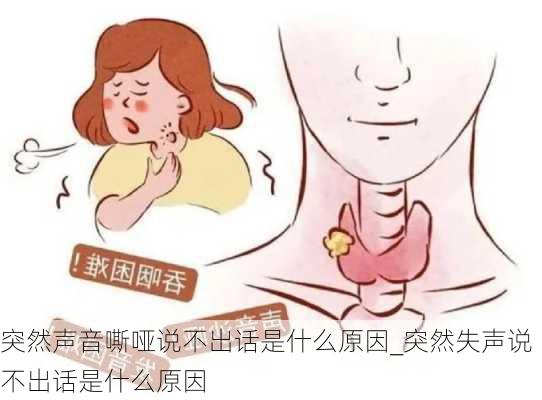 突然声音嘶哑说不出话是什么原因_突然失声说不出话是什么原因