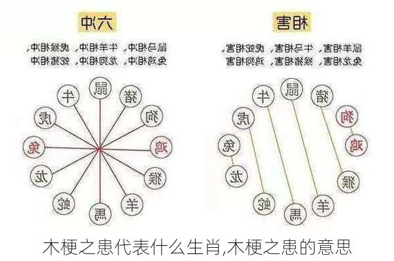 木梗之患代表什么生肖,木梗之患的意思