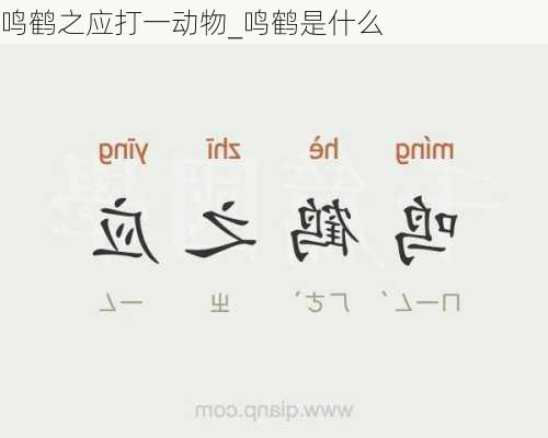鸣鹤之应打一动物_鸣鹤是什么
