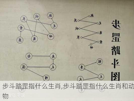 步斗踏罡指什么生肖,步斗踏罡指什么生肖和动物