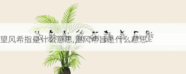 望风希指是什么意思,望风希旨是什么意思