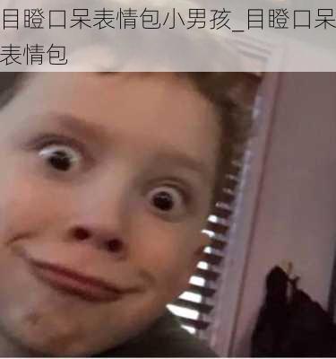 目瞪口呆表情包小男孩_目瞪口呆表情包