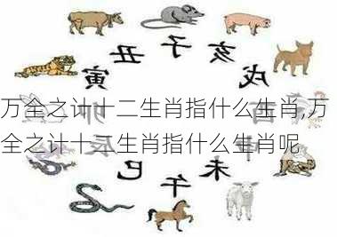 万全之计十二生肖指什么生肖,万全之计十二生肖指什么生肖呢