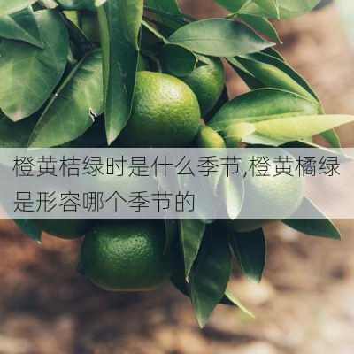 橙黄桔绿时是什么季节,橙黄橘绿是形容哪个季节的