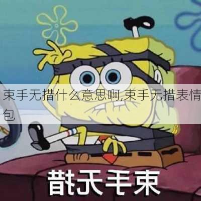 束手无措什么意思啊,束手无措表情包