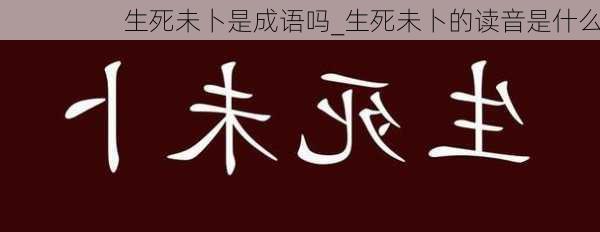 生死未卜是成语吗_生死未卜的读音是什么