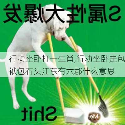 行动坐卧打一生肖,行动坐卧走包袱包石头江东有六郡什么意思