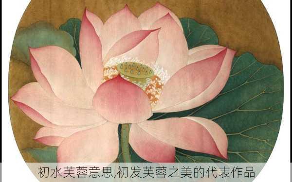 初水芙蓉意思,初发芙蓉之美的代表作品