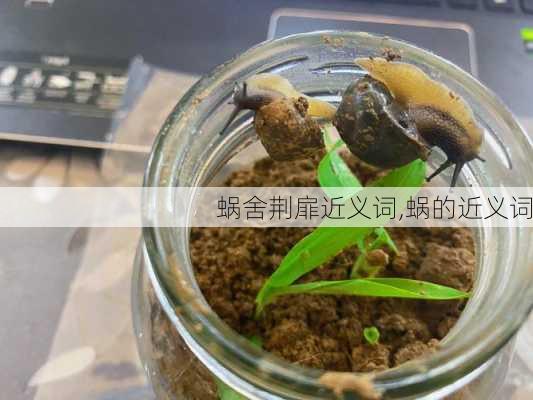 蜗舍荆扉近义词,蜗的近义词