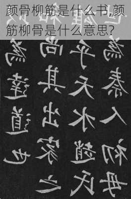 颜骨柳筋是什么书,颜筋柳骨是什么意思?