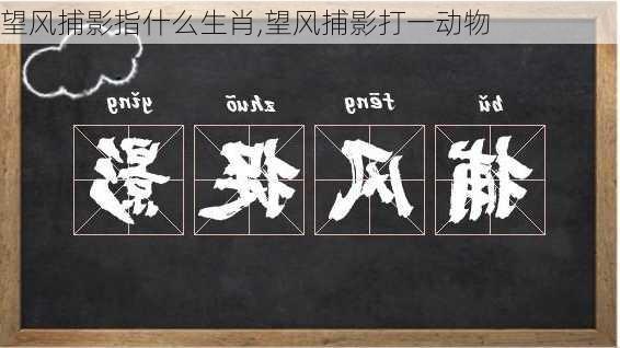 望风捕影指什么生肖,望风捕影打一动物