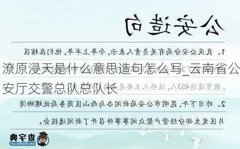 潦原浸天是什么意思造句怎么写_云南省公安厅交警总队总队长