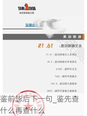 鉴前毖后下一句_鉴先查什么再查什么