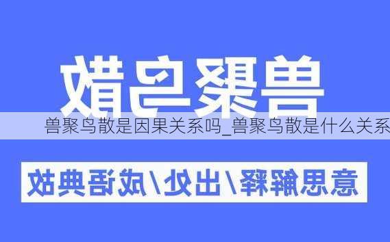 兽聚鸟散是因果关系吗_兽聚鸟散是什么关系