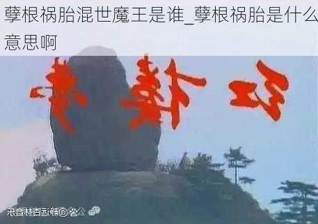 孽根祸胎混世魔王是谁_孽根祸胎是什么意思啊