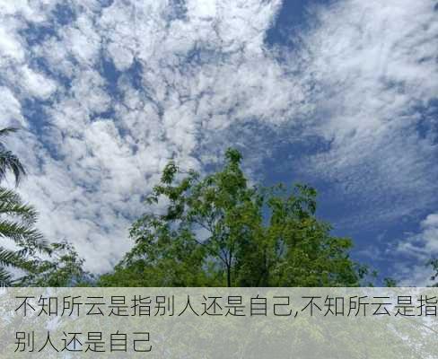 不知所云是指别人还是自己,不知所云是指别人还是自己