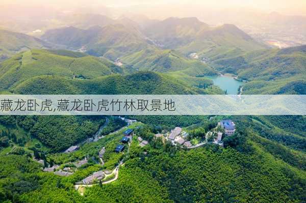 藏龙卧虎,藏龙卧虎竹林取景地